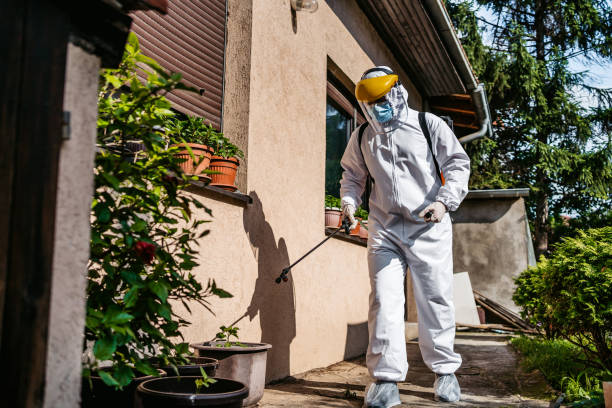 Best Best Pest Control Companies  in Salem Lakes, WI