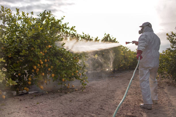Best Pest Inspection Near Me  in Salem Lakes, WI