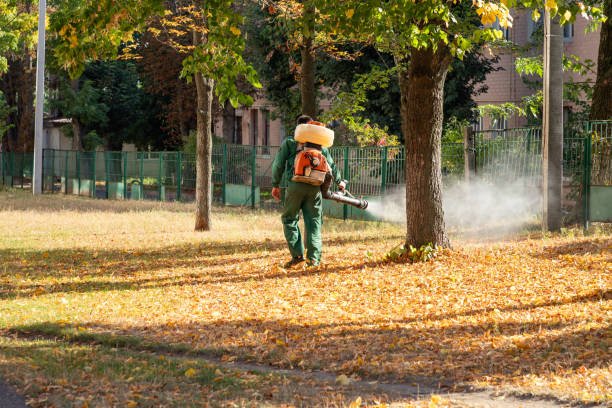 Best Flea Control Services  in Salem Lakes, WI