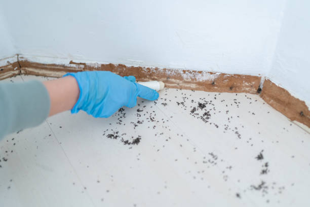  Salem Lakes, WI Pest Control Pros